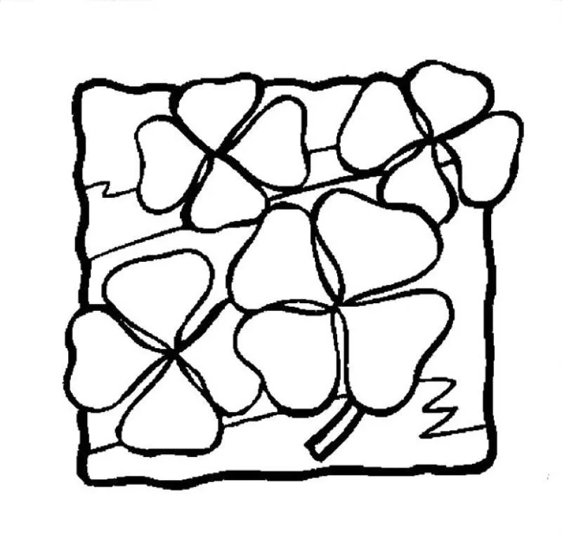Trebol Para Colorear 12
