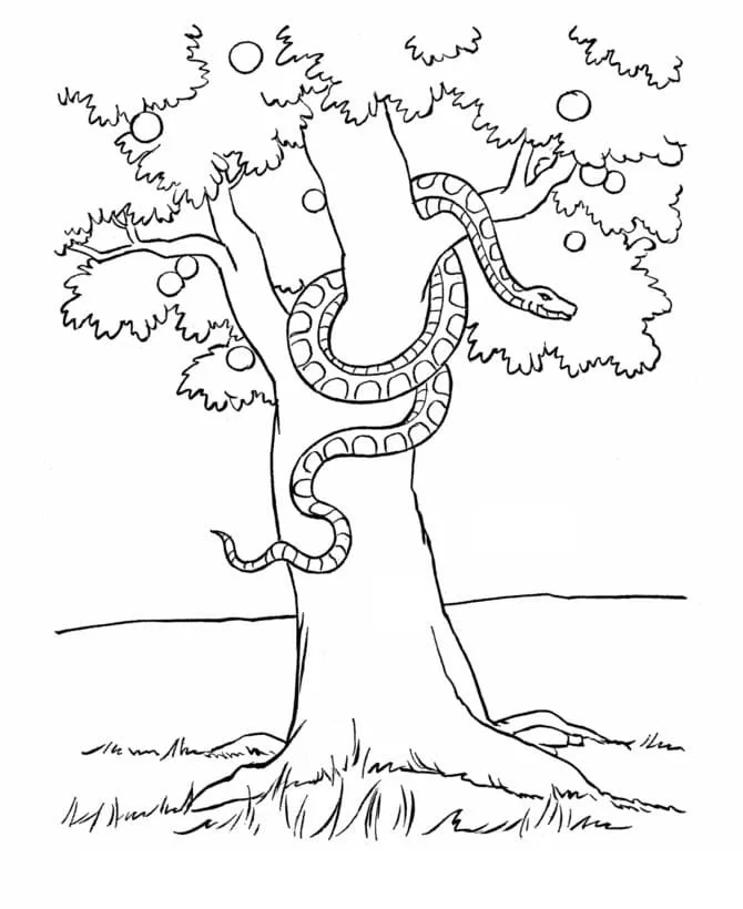 Adam and Eve Coloring Pages 93