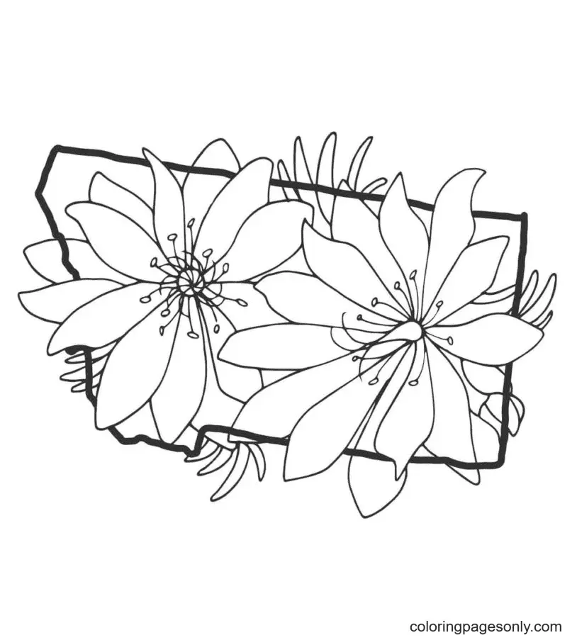 Aesthetic Drawing Coloring Pages 32