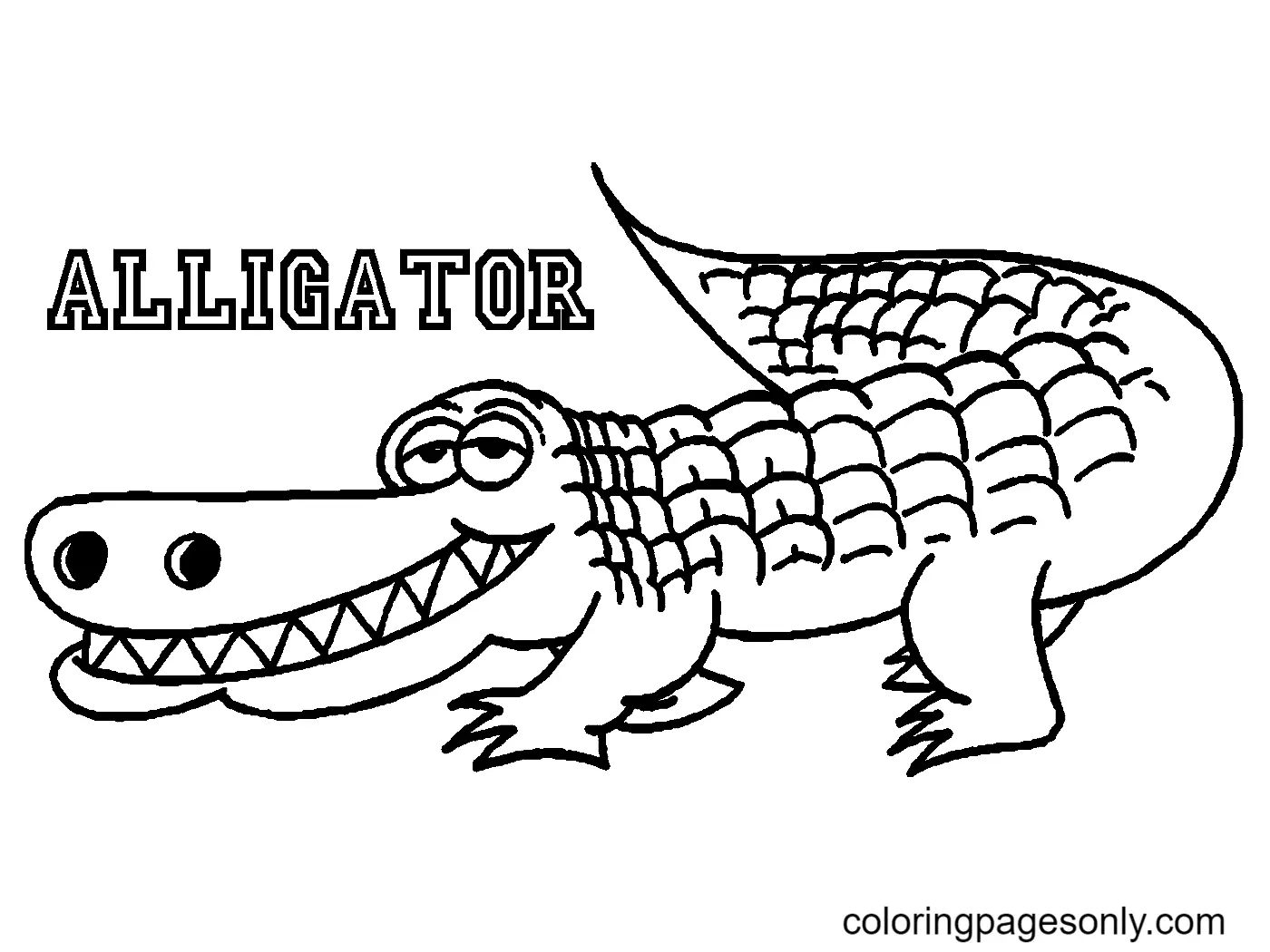 Cocodrilo Para Colorear 17