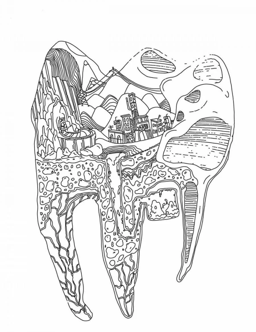 Anatomie Ausmalbilder 60