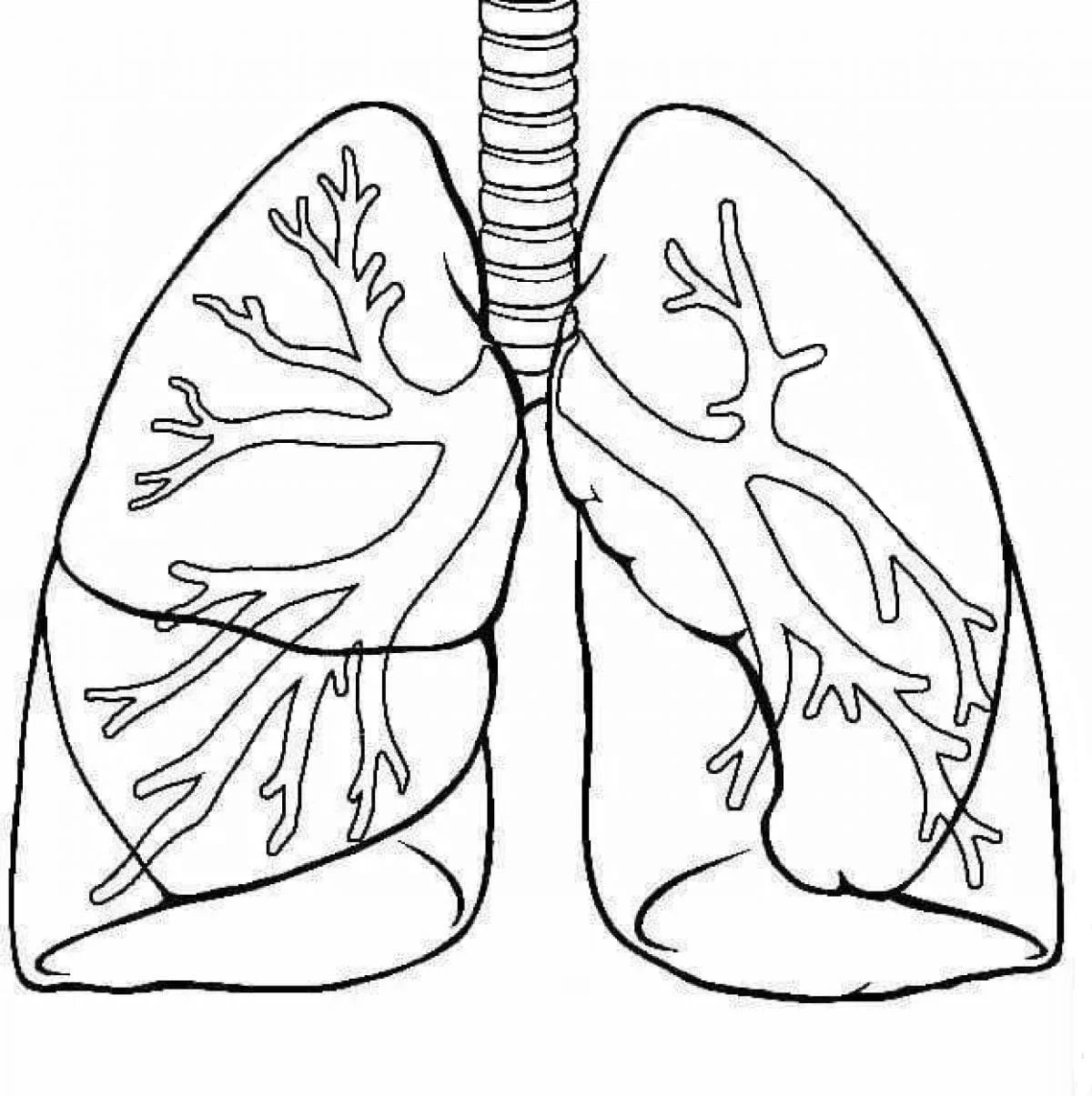 Desenhos de Anatomia Para Colorir 83
