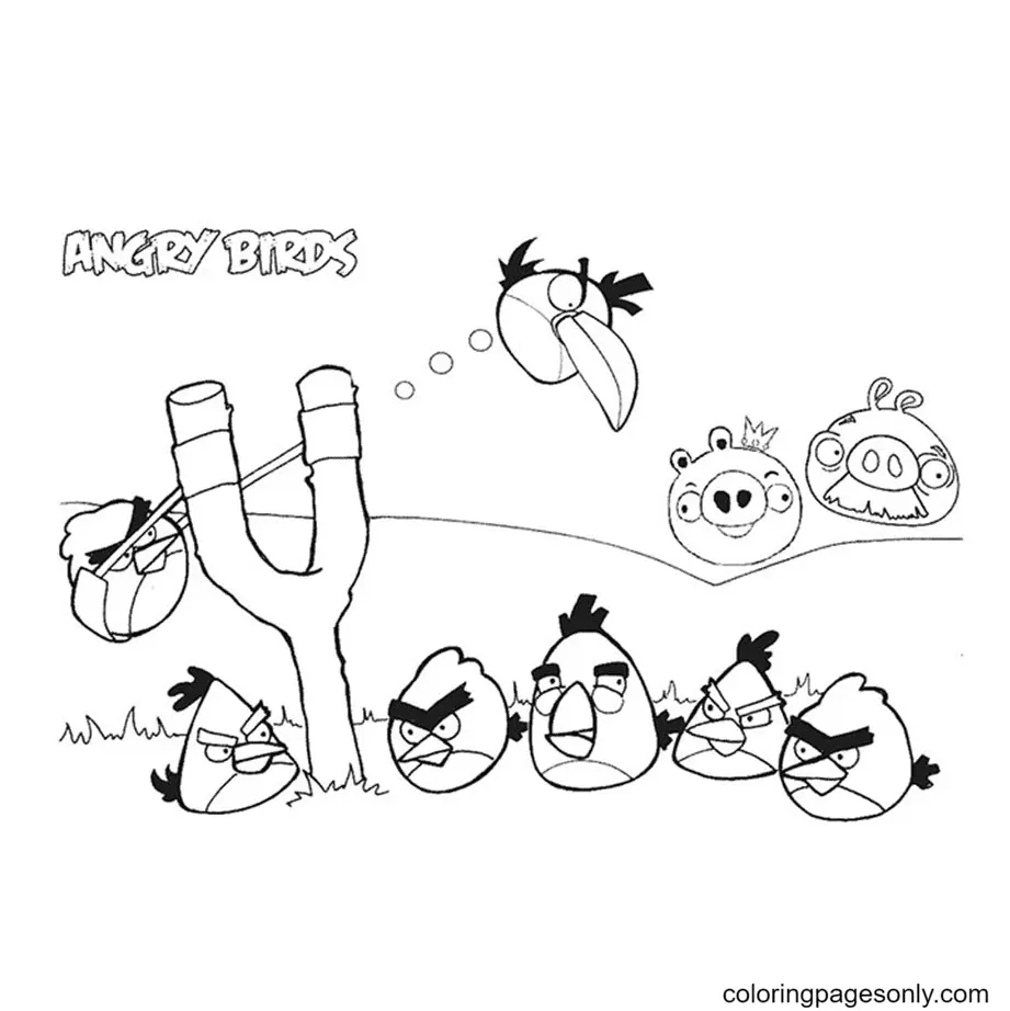 Angry Birds Coloring Pages 4