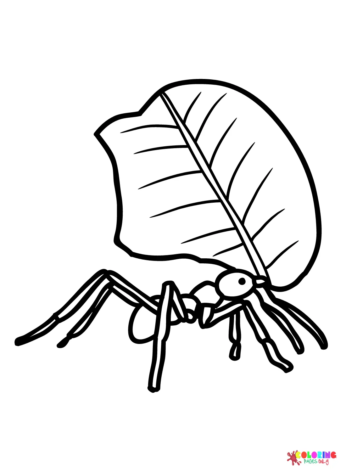 Ant Coloring Pages 3
