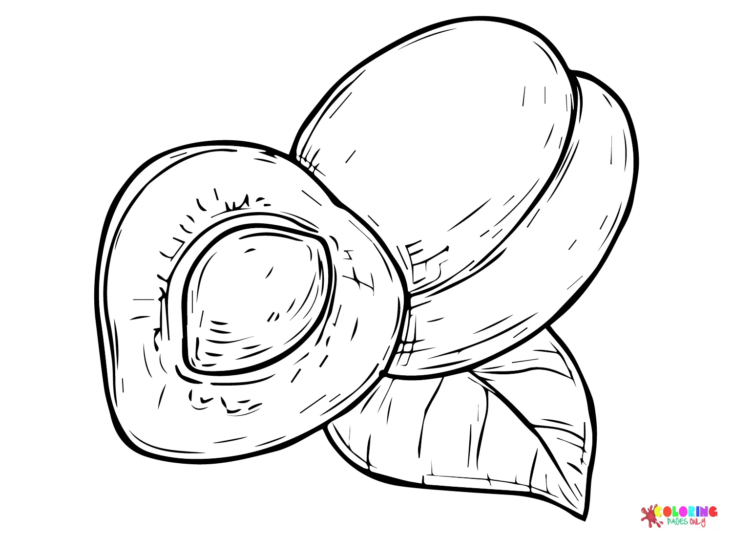 Albaricoque Para Colorear 20