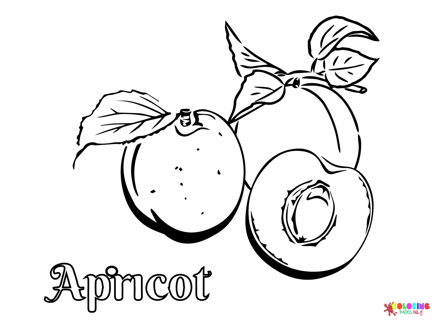 Albaricoque Para Colorear 24