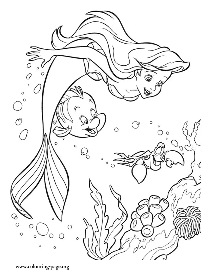Ariel Para Colorear 9