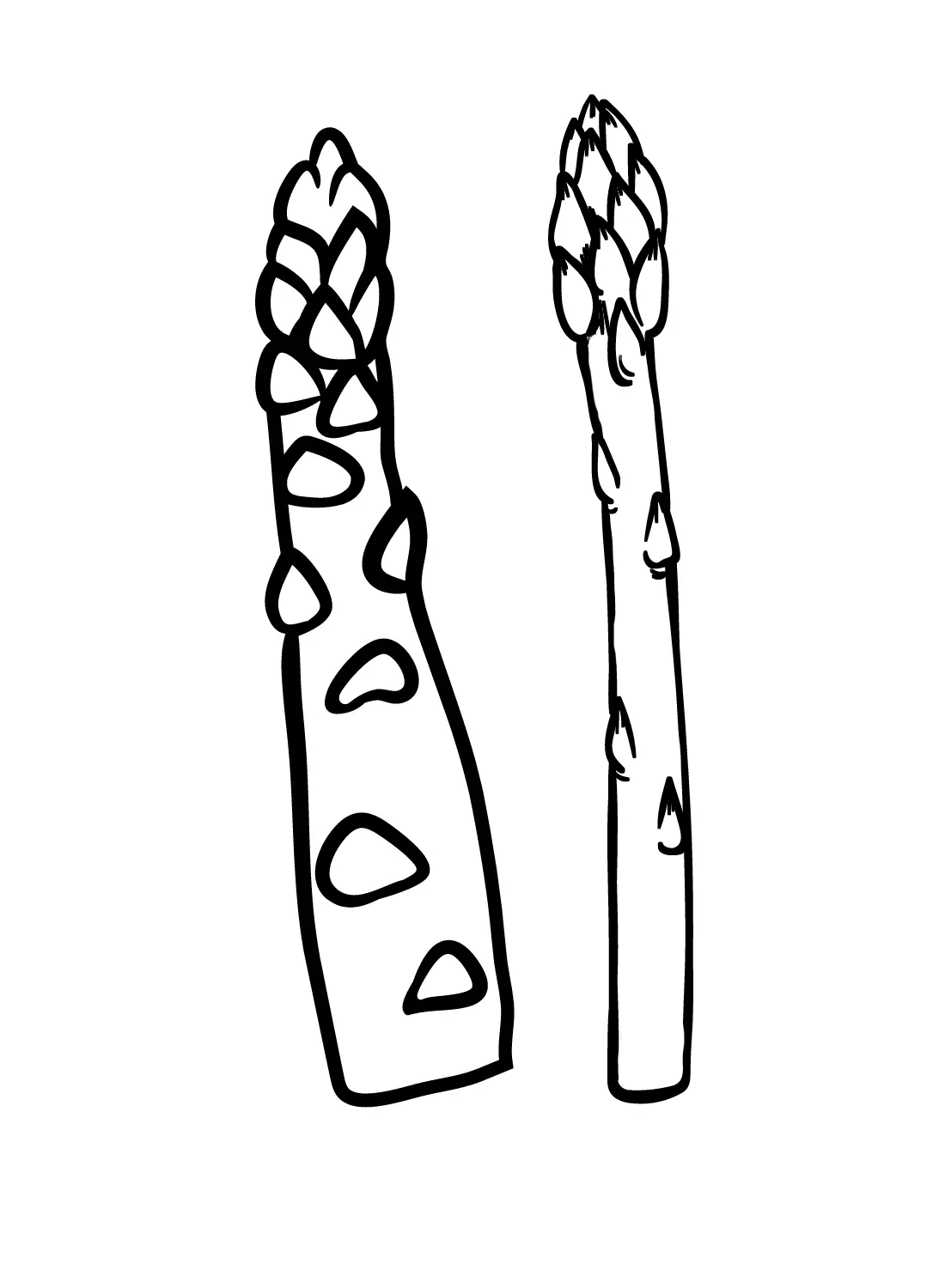 Spargel Ausmalbilder 13