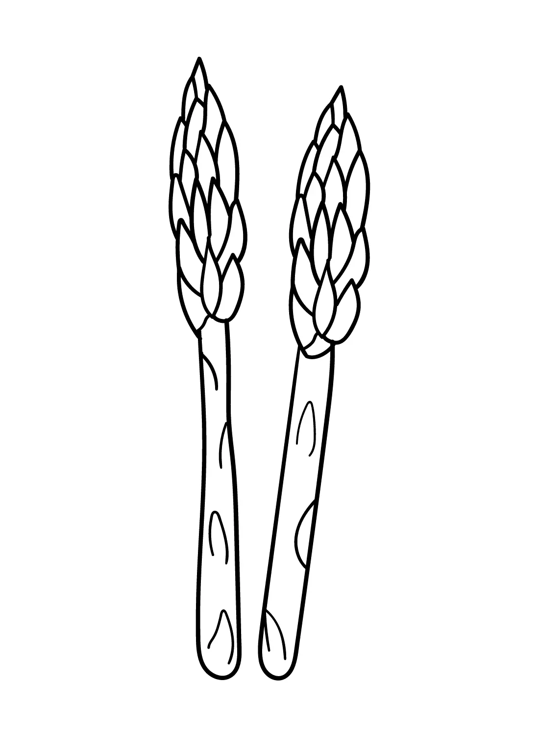Spargel Ausmalbilder 14