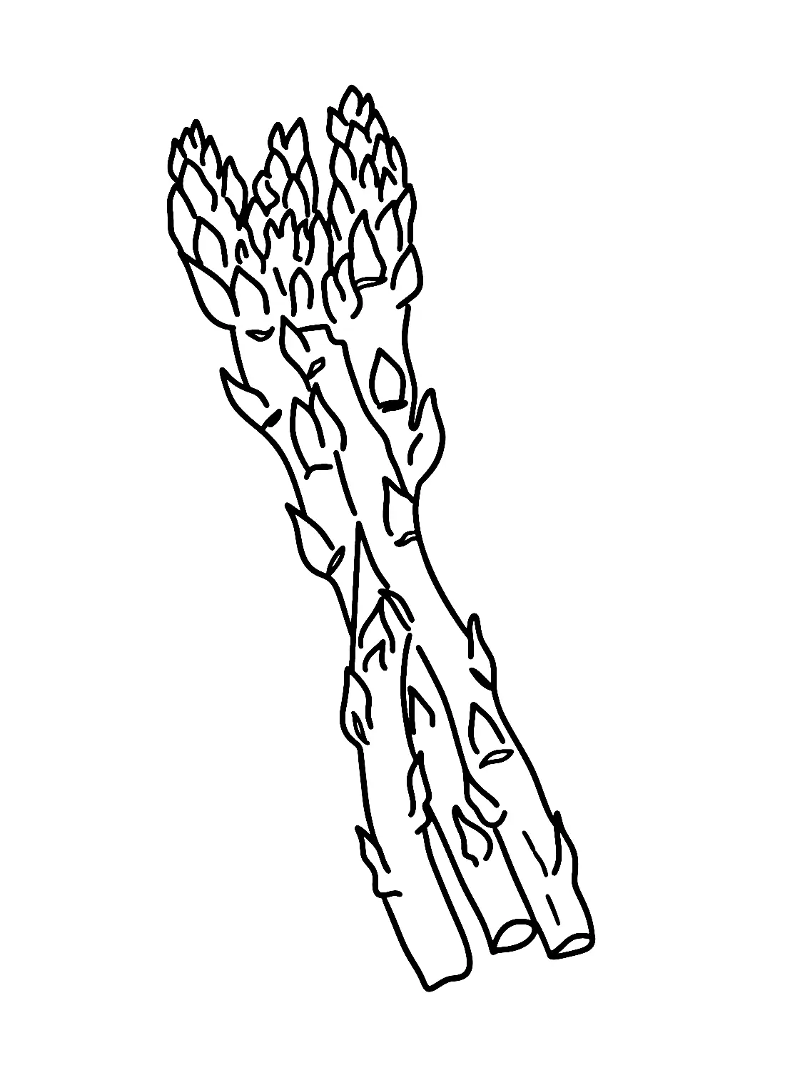 Spargel Ausmalbilder 24