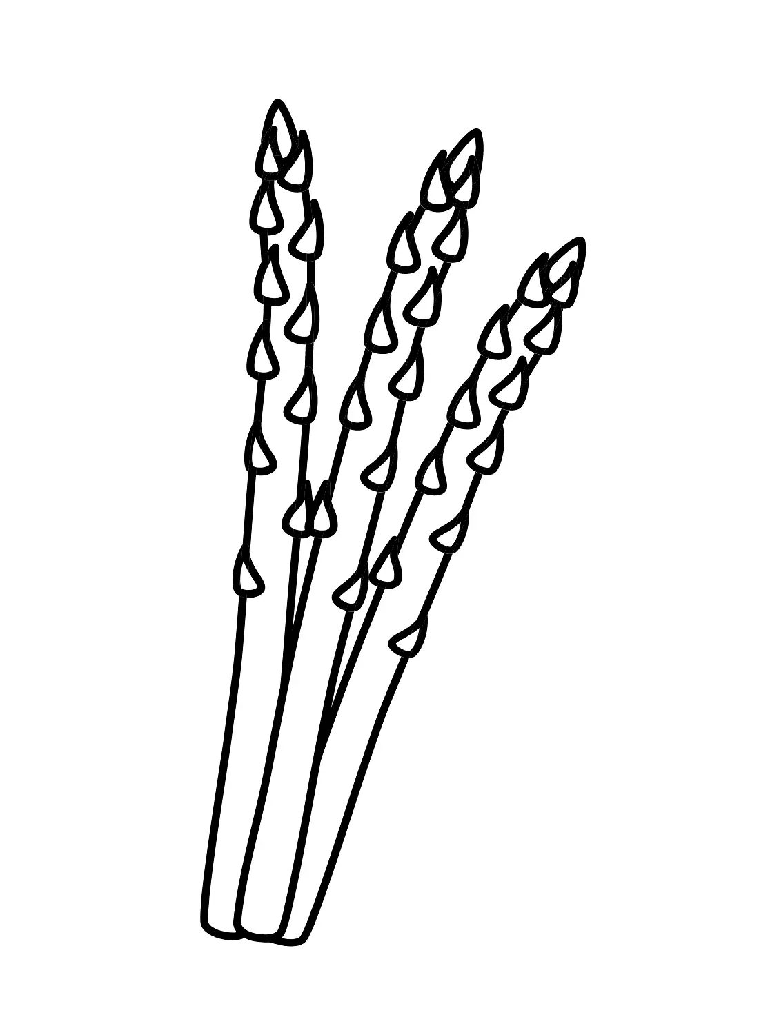 Spargel Ausmalbilder 30