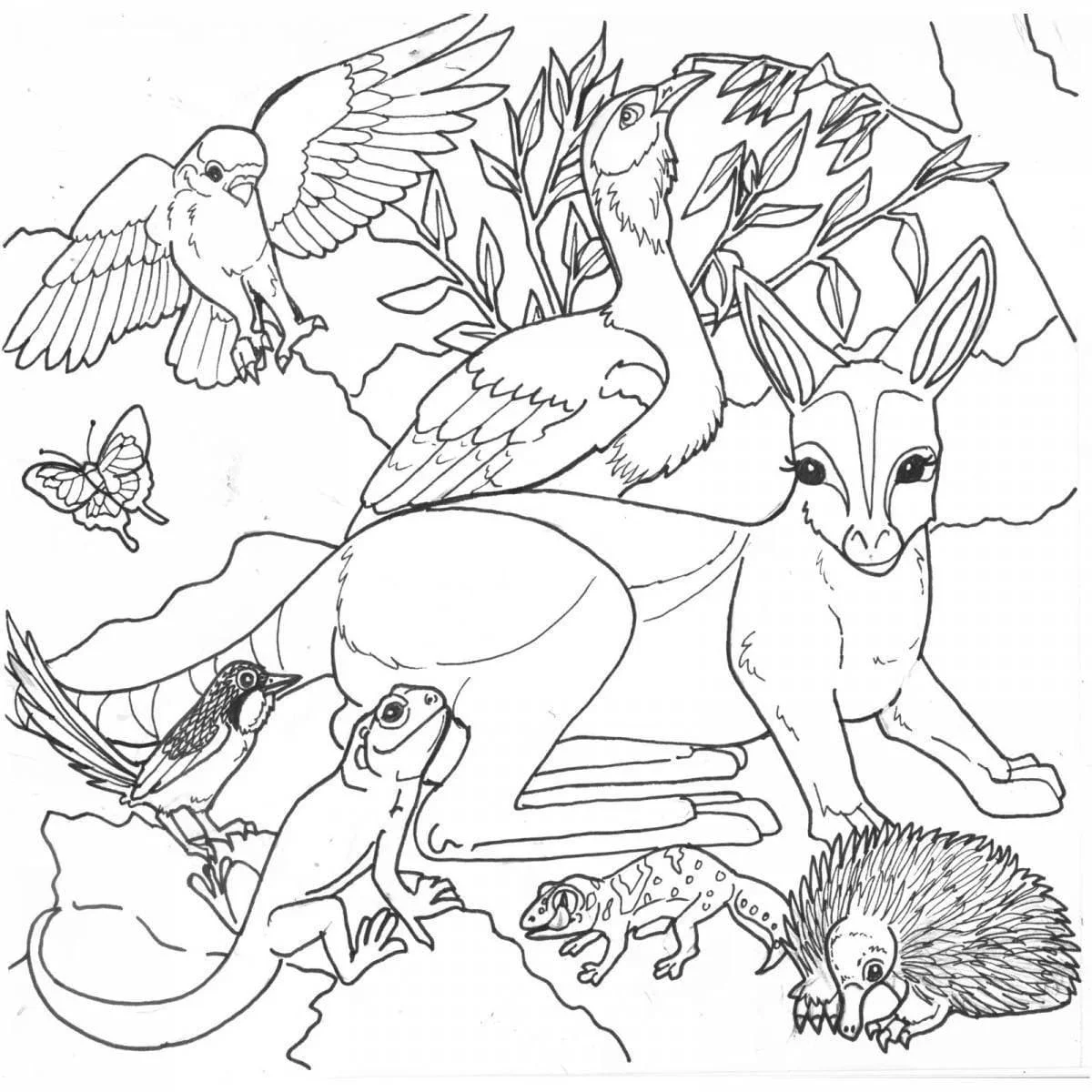 Desenhos de Australia Para Colorir 41