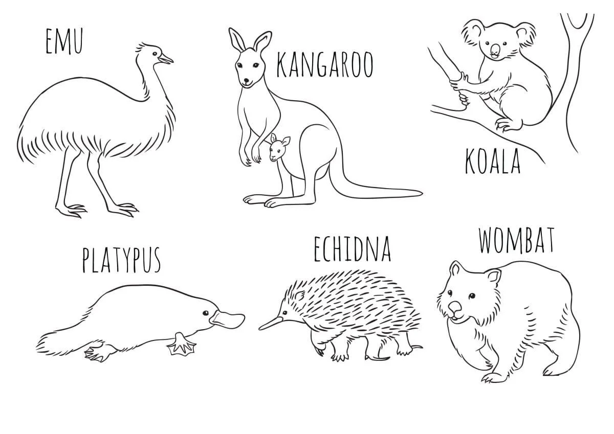 Desenhos de Australia Para Colorir 45