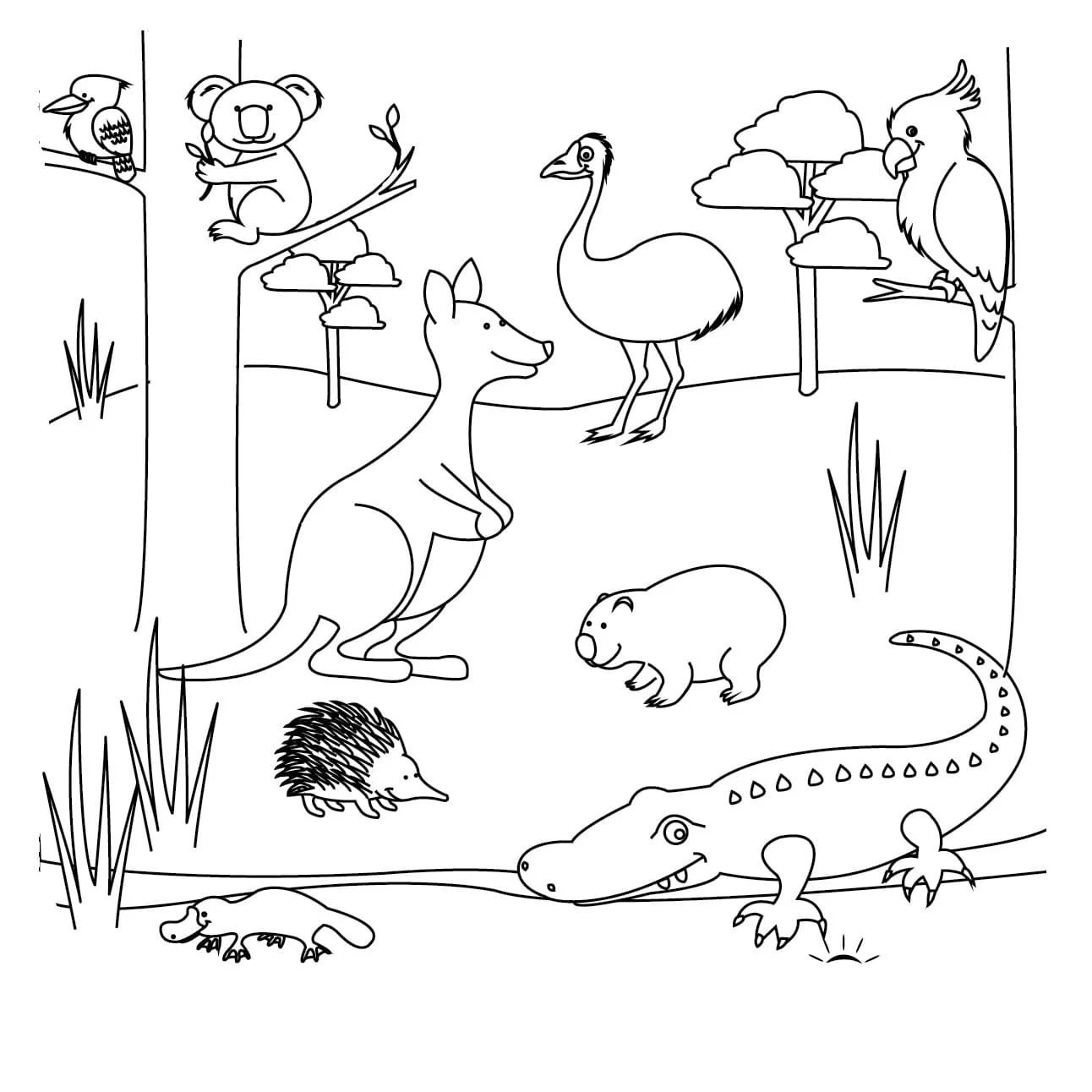 Australian Animals Coloring Pages 82