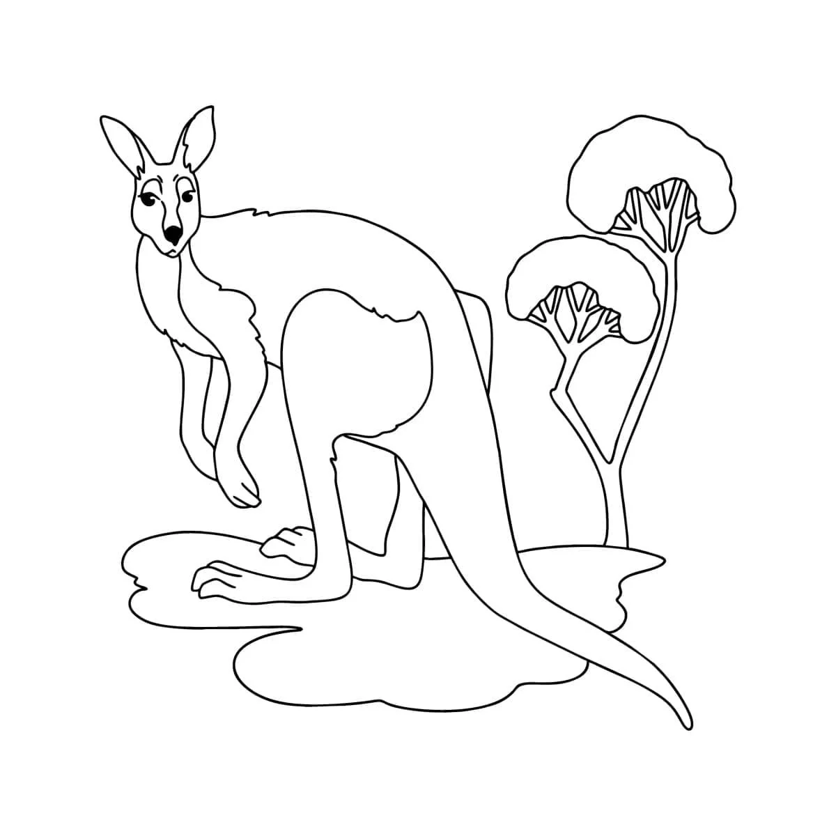Australian Animals Coloring Pages 92