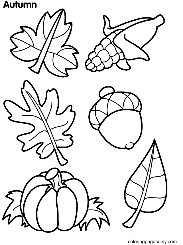 Desenhos de Folhas de Outono Para Colorir 14