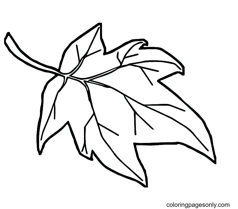 Desenhos de Folhas de Outono Para Colorir 19