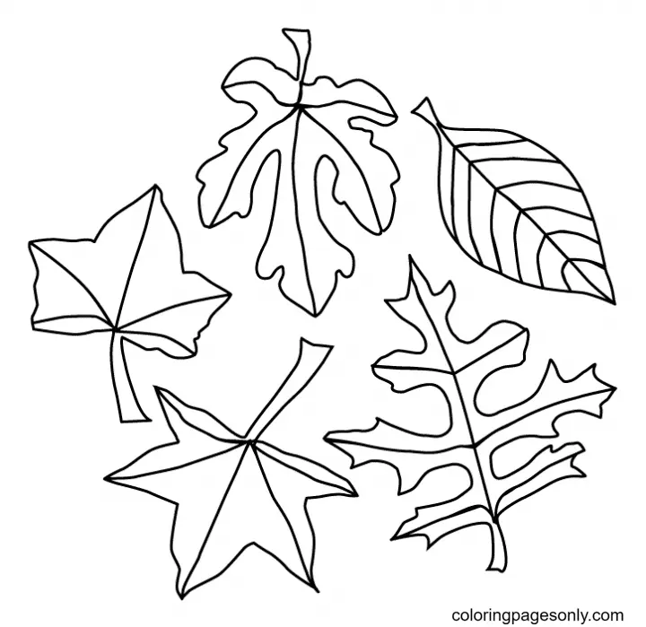 Desenhos de Folhas de Outono Para Colorir 2