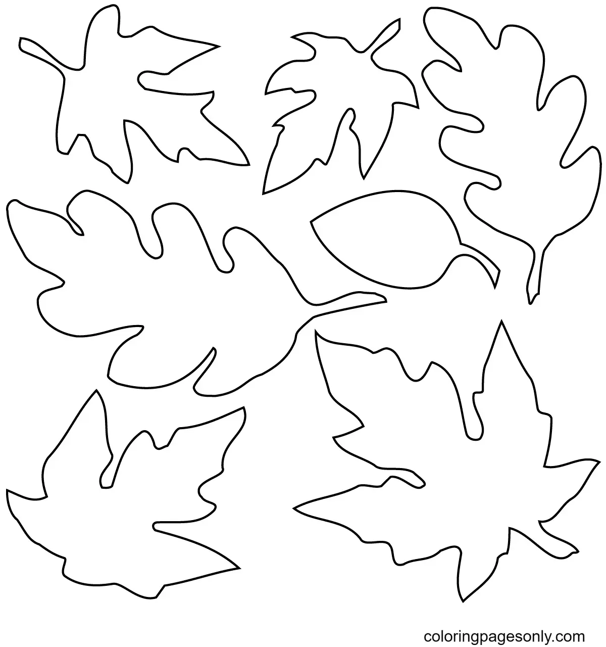 Desenhos de Folhas de Outono Para Colorir 3