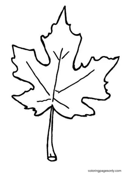 Desenhos de Folhas de Outono Para Colorir 39