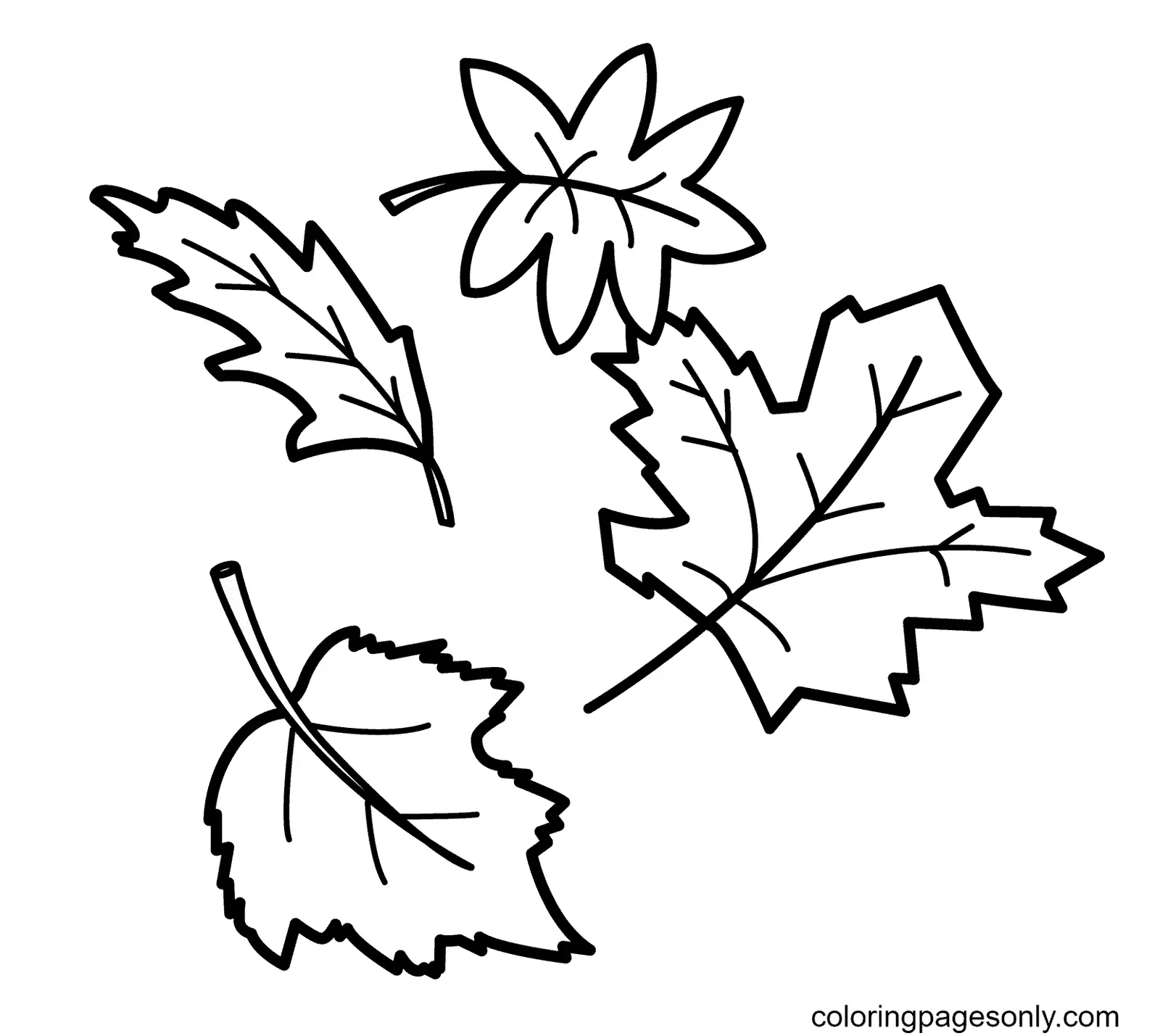 Desenhos de Folhas de Outono Para Colorir 4