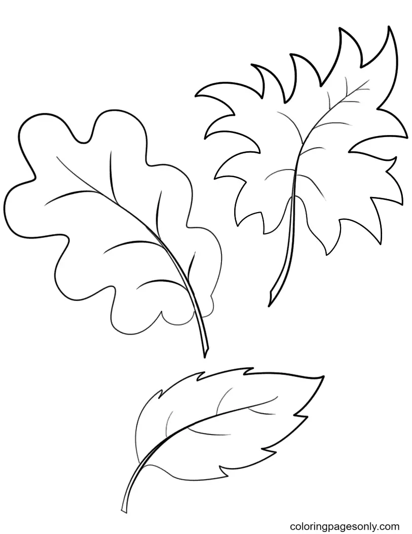 Desenhos de Folhas de Outono Para Colorir 51