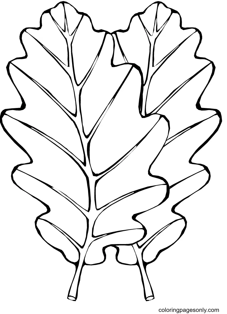 Desenhos de Folhas de Outono Para Colorir 59