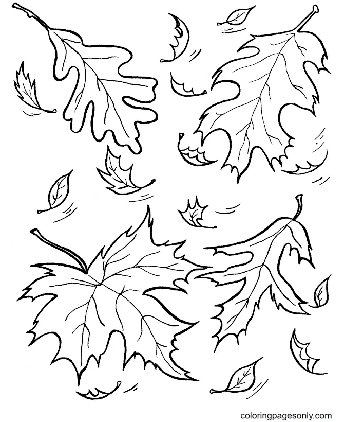 Desenhos de Folhas de Outono Para Colorir 6
