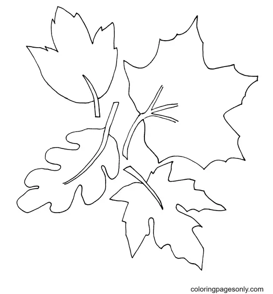 Desenhos de Folhas de Outono Para Colorir 61
