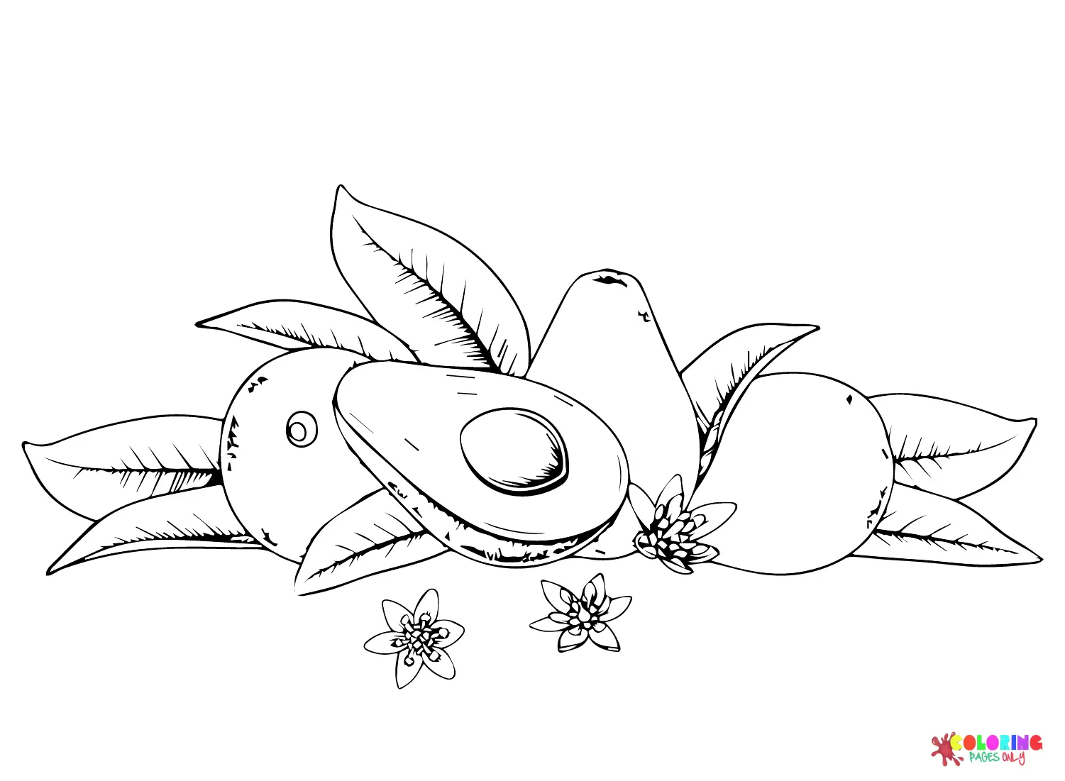 Aguacate Para Colorear 44