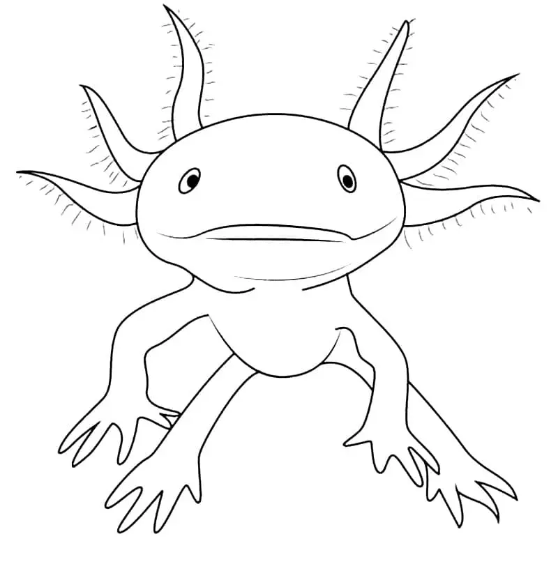 Axolotl Para Colorear 15