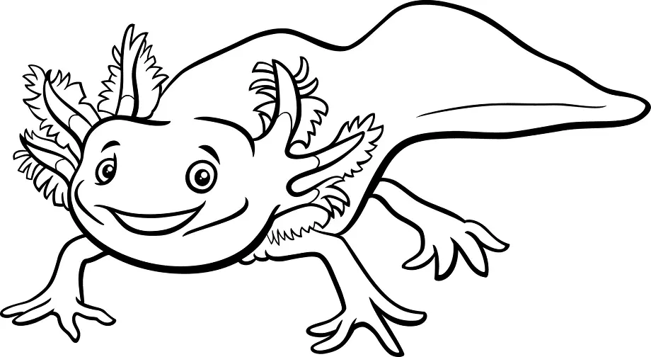Axolotl Para Colorear 29