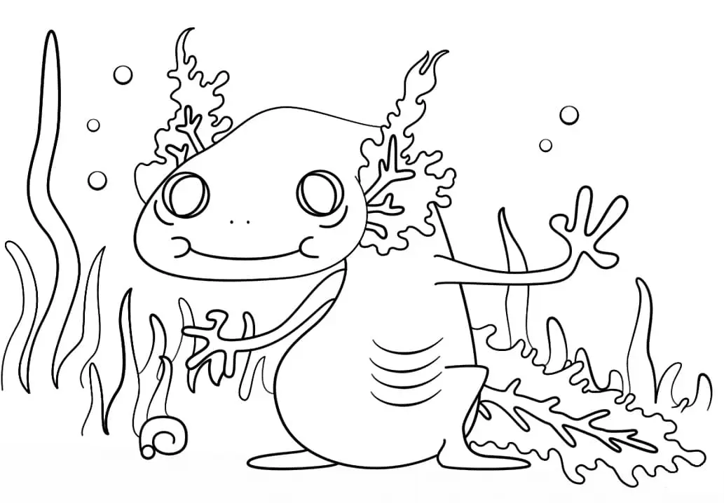 Axolotl Para Colorear 40