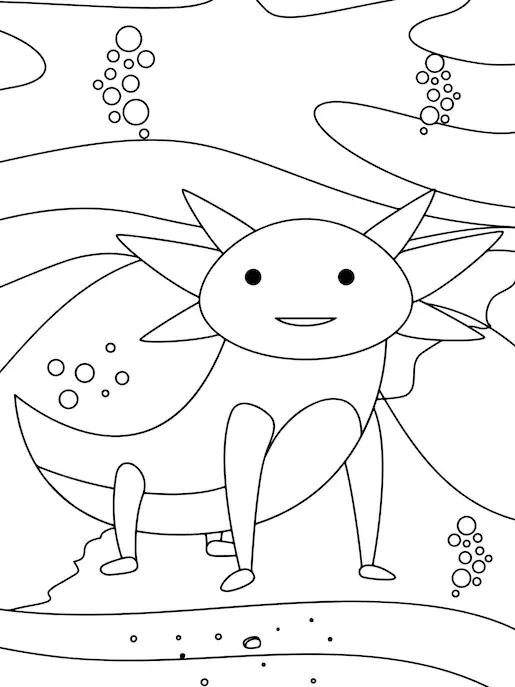 Axolotl Ausmalbilder 51