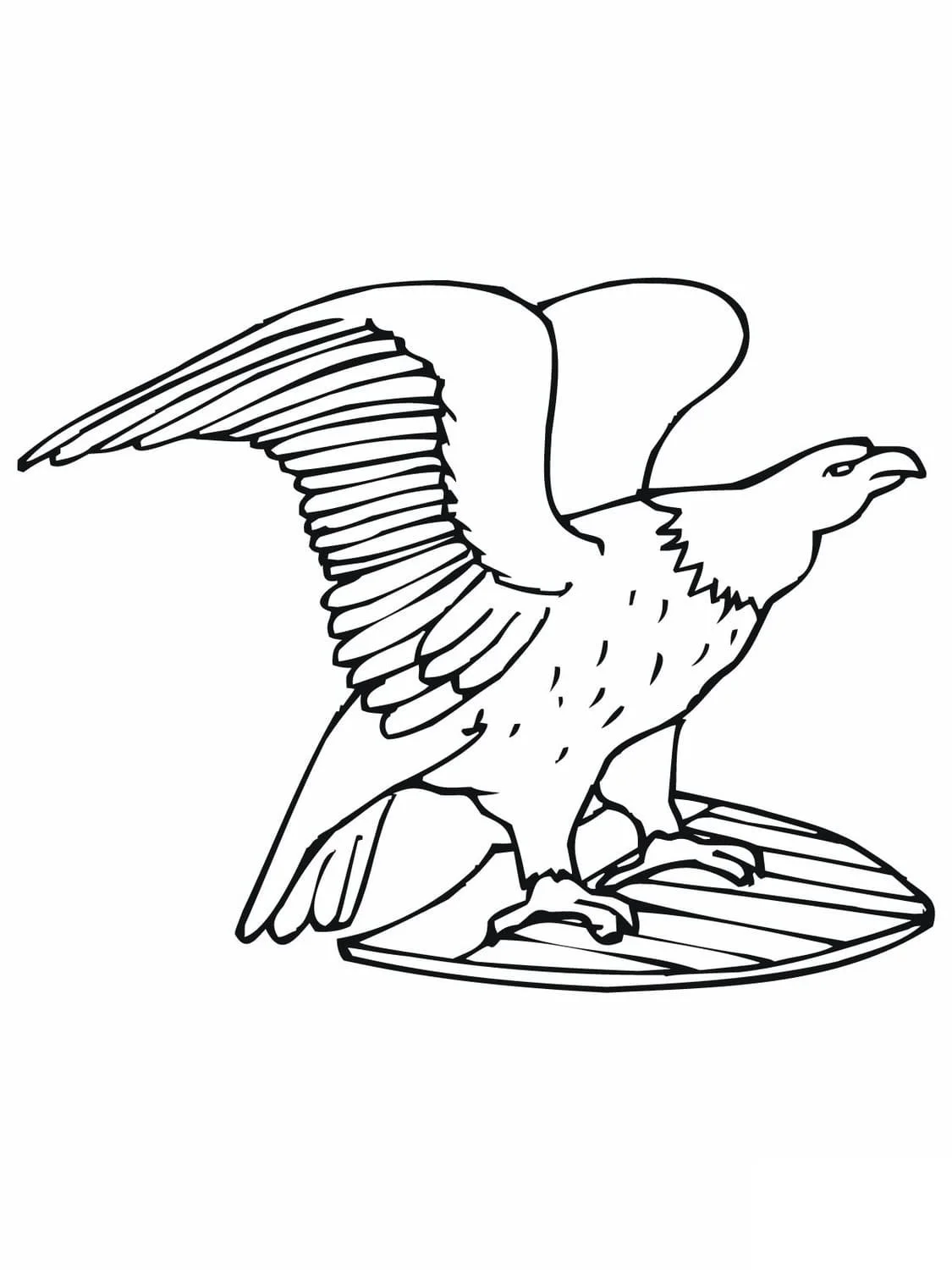 aguila Calva Para Colorear 49