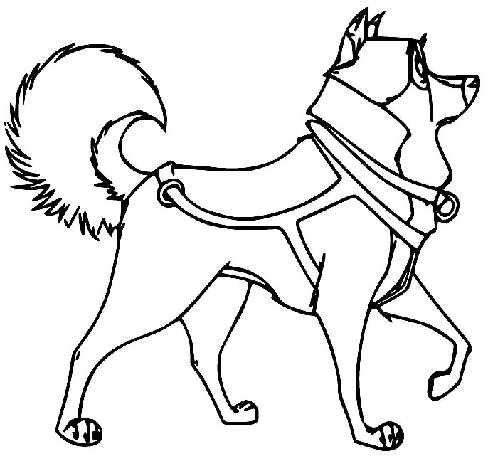 Balto Ausmalbilder 46