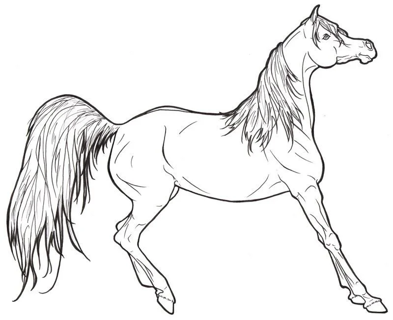 Barbie Horse Coloring Pages 30