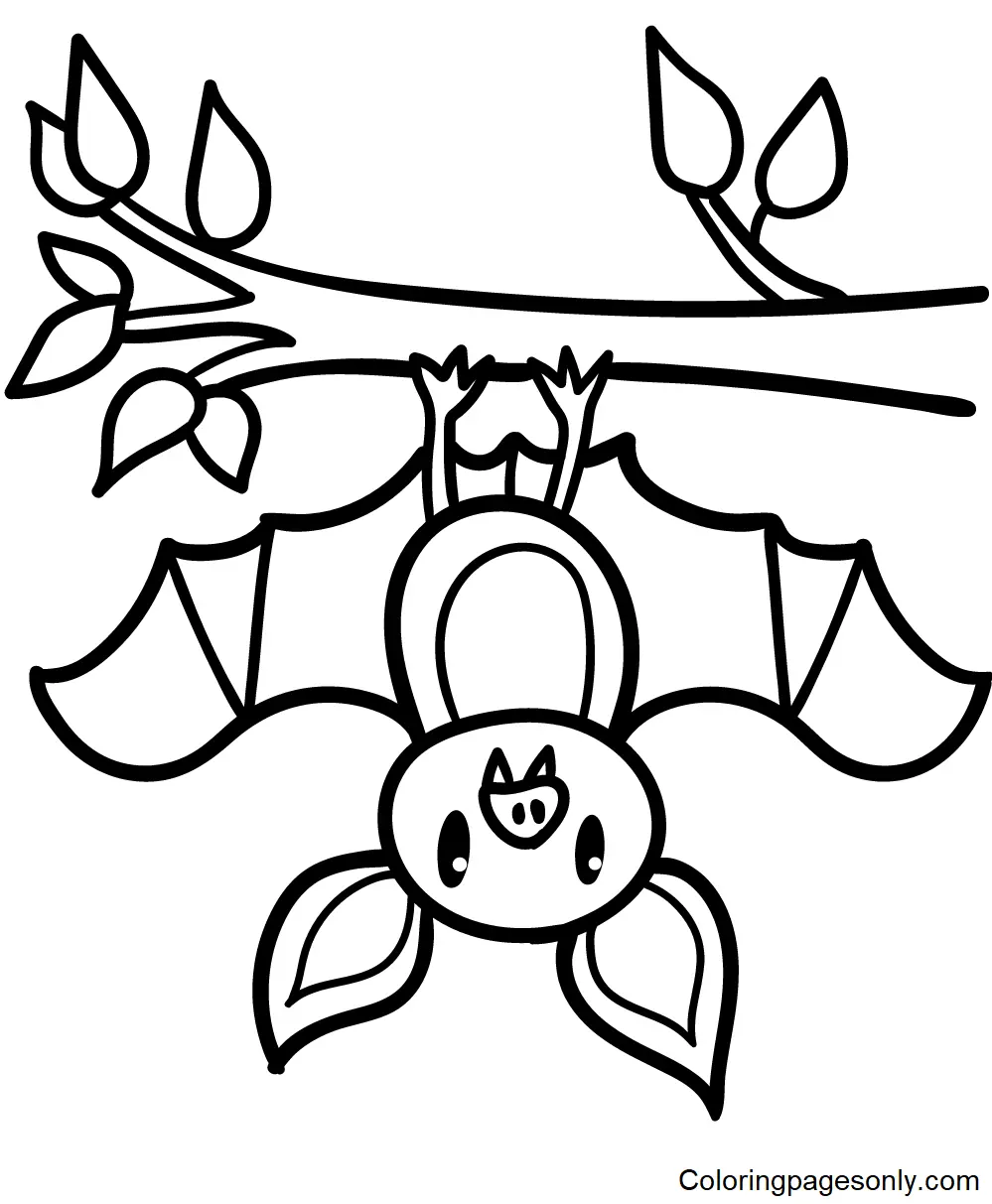 Fledermaus Ausmalbilder 4