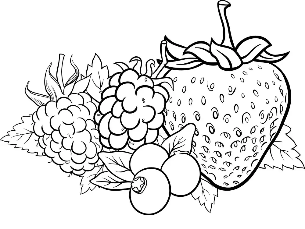 Desenhos de Bagas Para Colorir 1