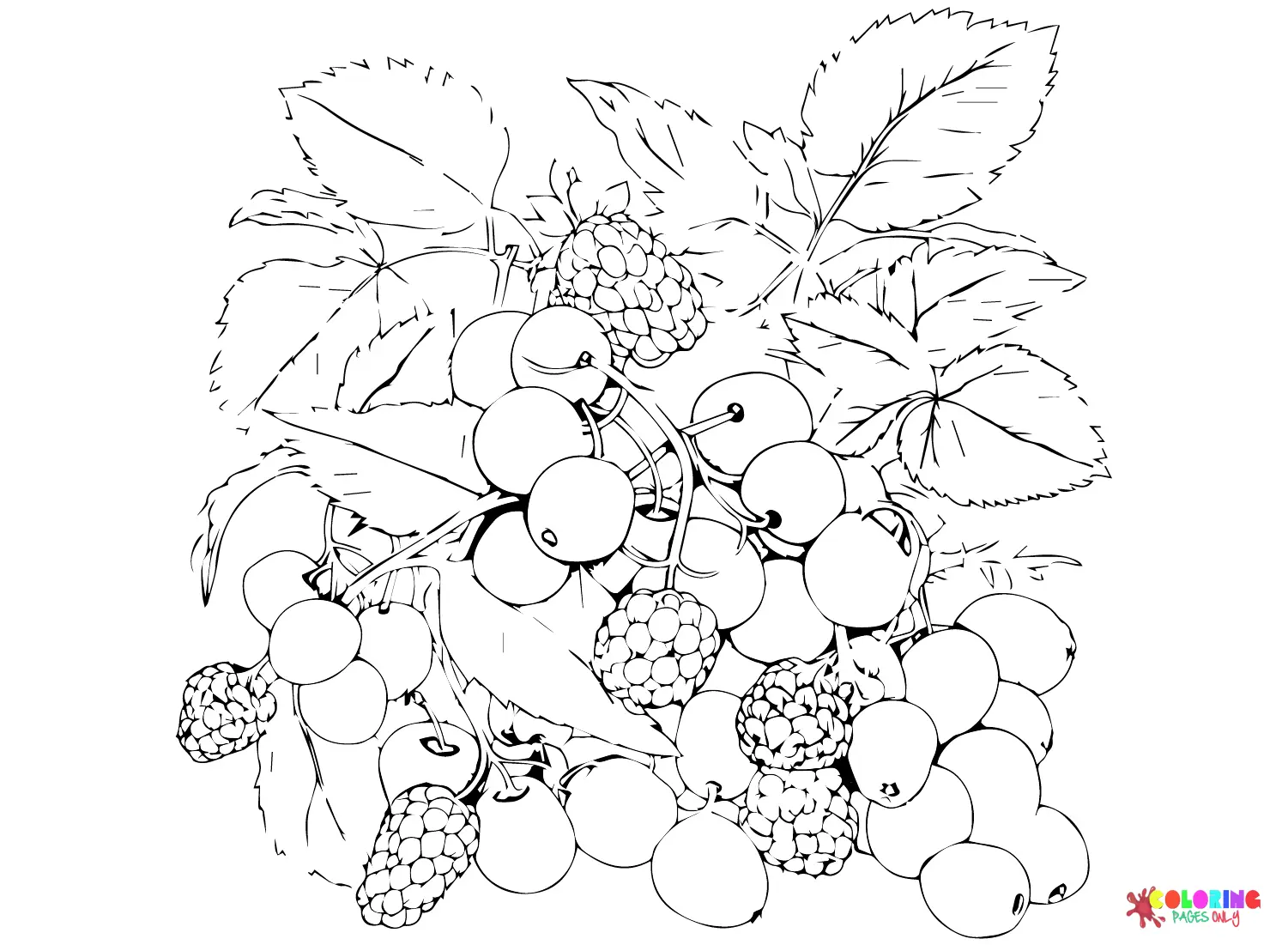 Desenhos de Bagas Para Colorir 10