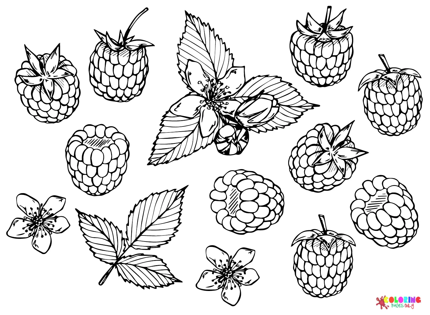 Desenhos de Bagas Para Colorir 17
