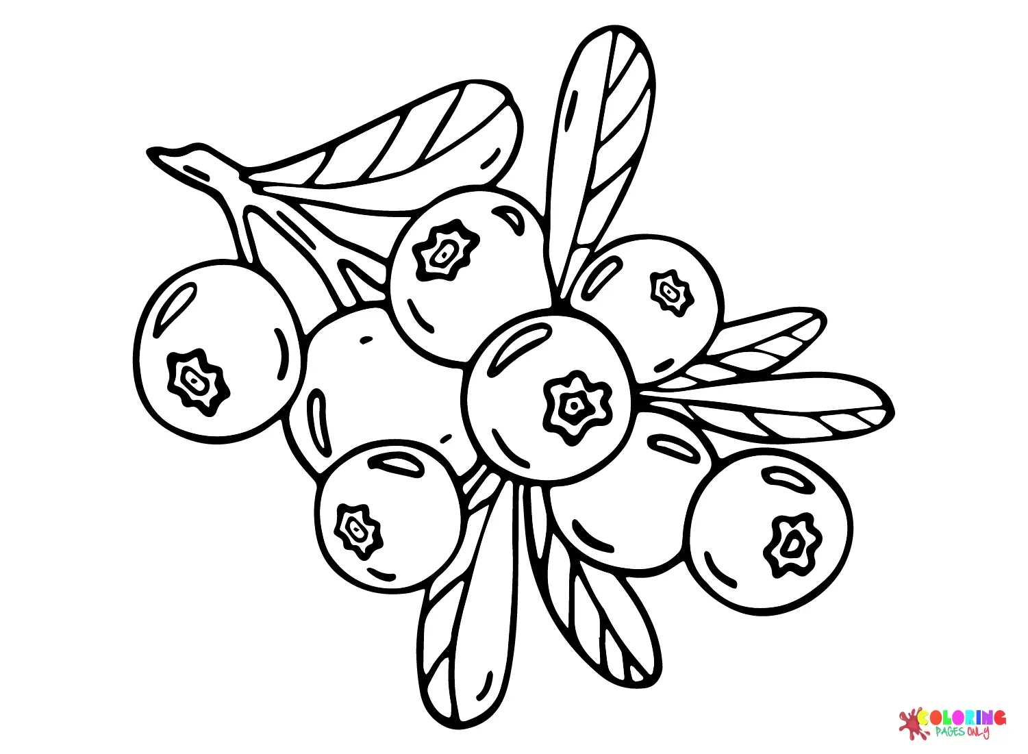 Desenhos de Bagas Para Colorir 5