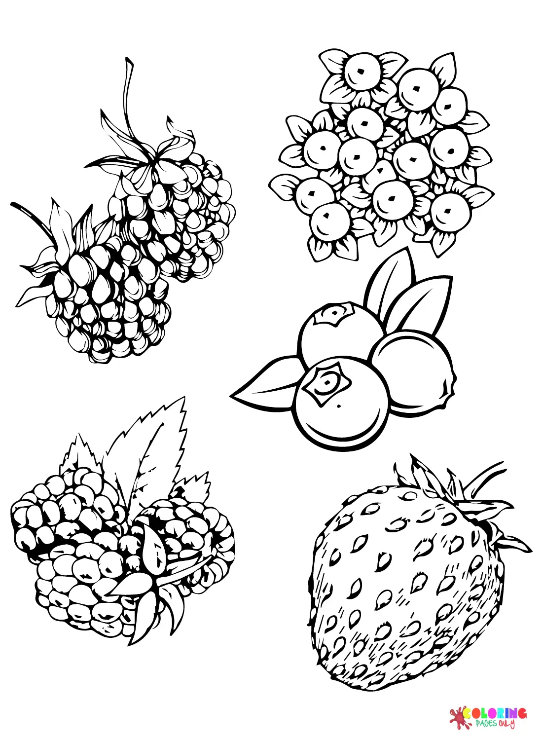 Desenhos de Bagas Para Colorir 8