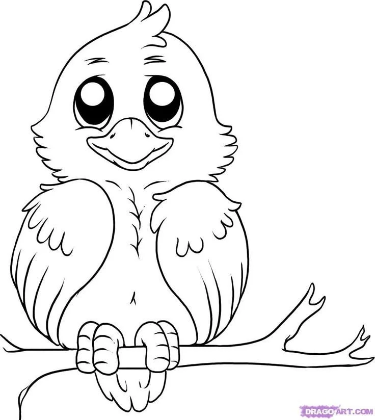 Bird Coloring Pages 104