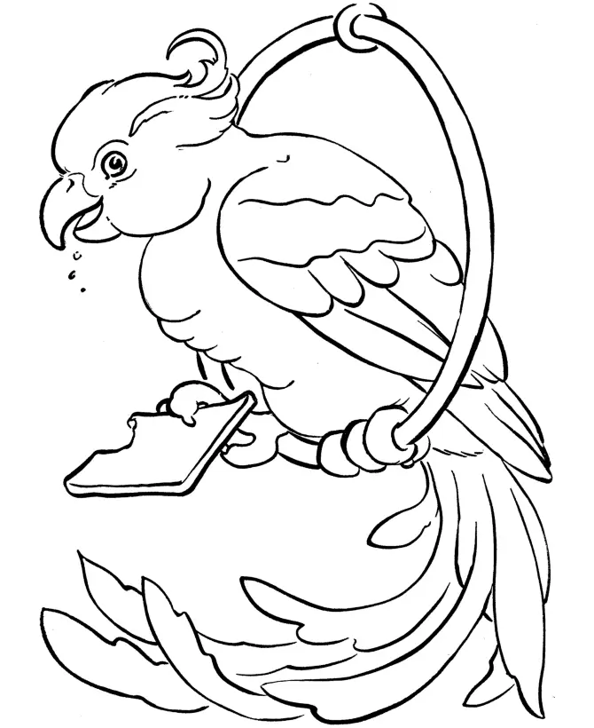 Bird Coloring Pages 91