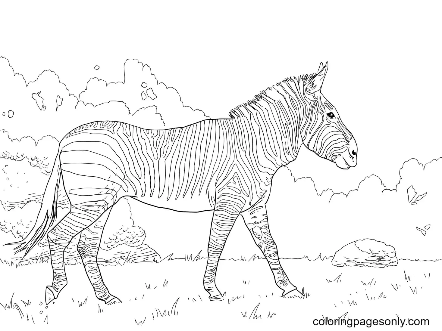 Black Widow Ausmalbilder 108