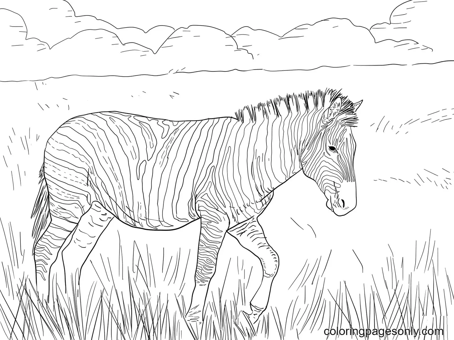 Black Widow Coloring Pages 111