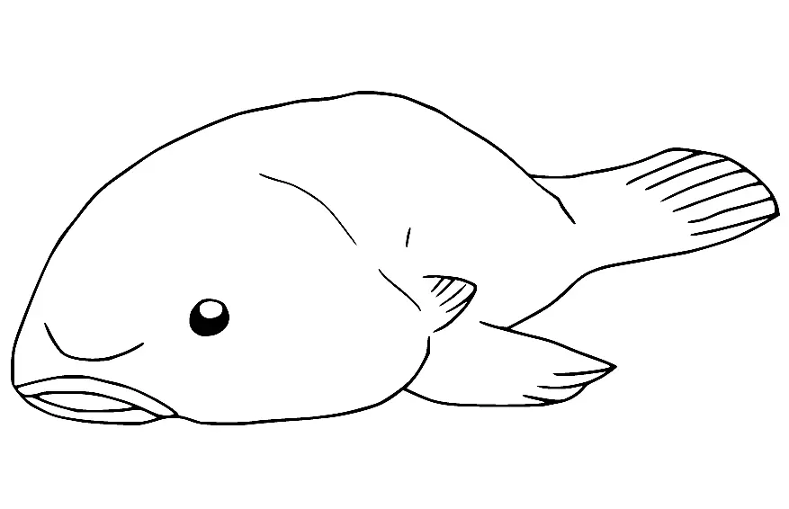 Blobfish Para Colorear 10