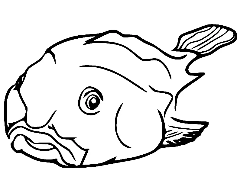 Blobfish Para Colorear 13