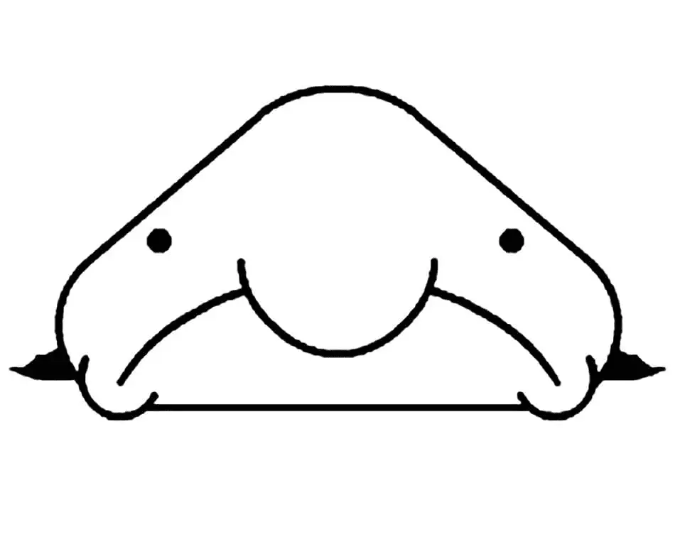 Blobfish Para Colorear 17